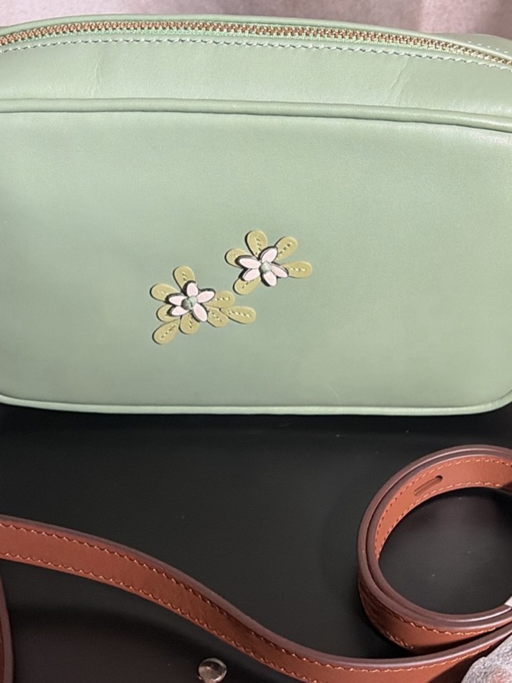 RADLEY LONDON Mint Green Leather Crossbody Bag with Gold Zip - Picture 3 of 6